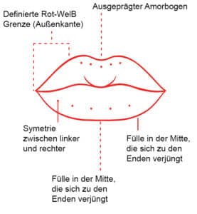 Lippenproportionen